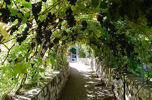 Weingut Lieselehof - Liste Photo