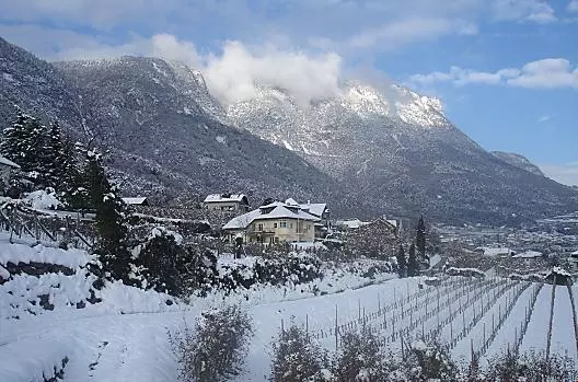 Weingut Lieselehof - Liste Photo