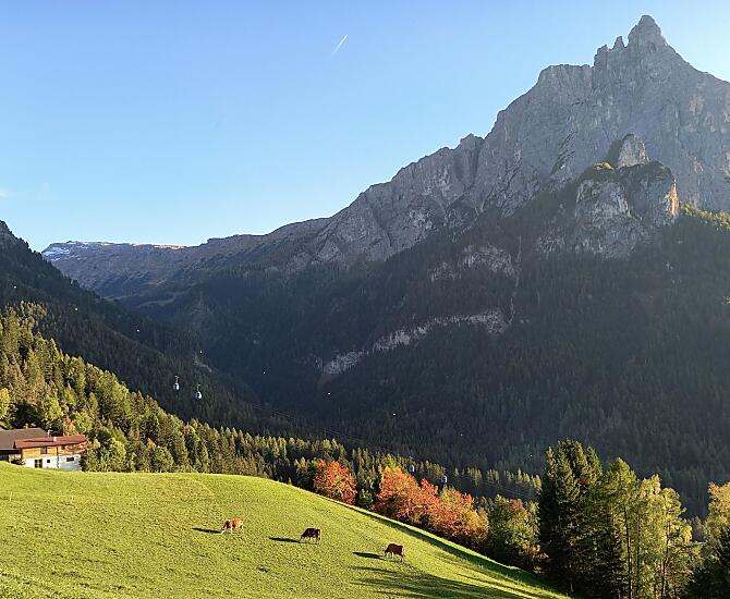 Grunserhof - Bildergalerie Photo