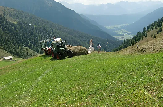 Durante la raccolta del fieno