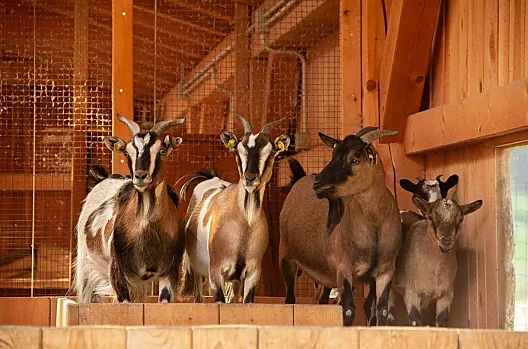 Winklerhof - Liste Photo