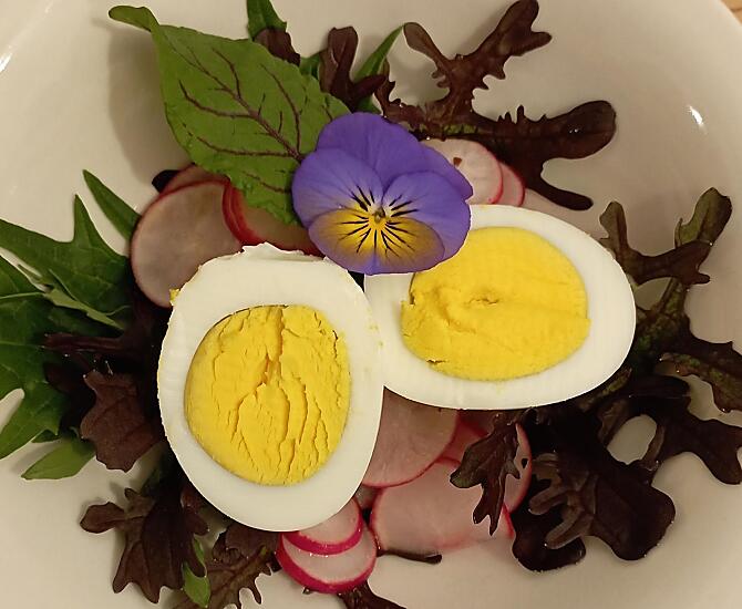 Insalata primaverile con uova delle nostre galline