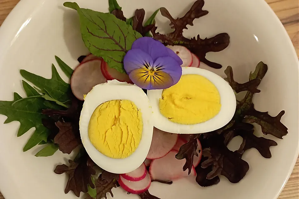 Insalata primaverile con uova delle nostre galline