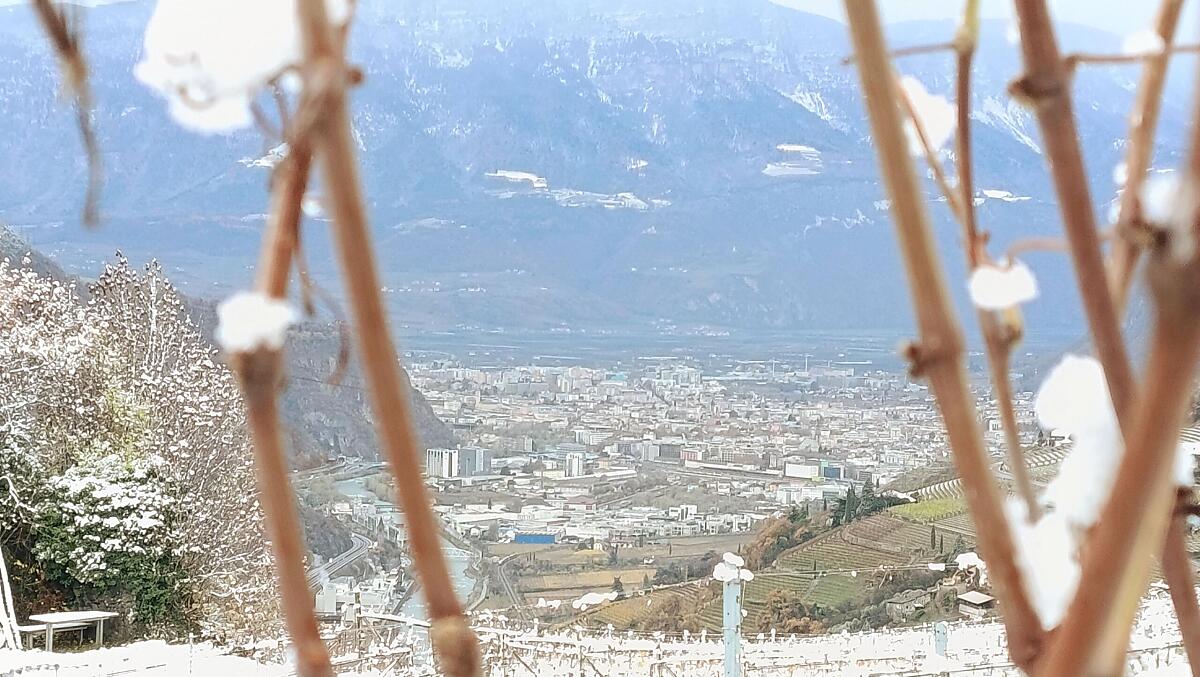 Vista su Bolzano.