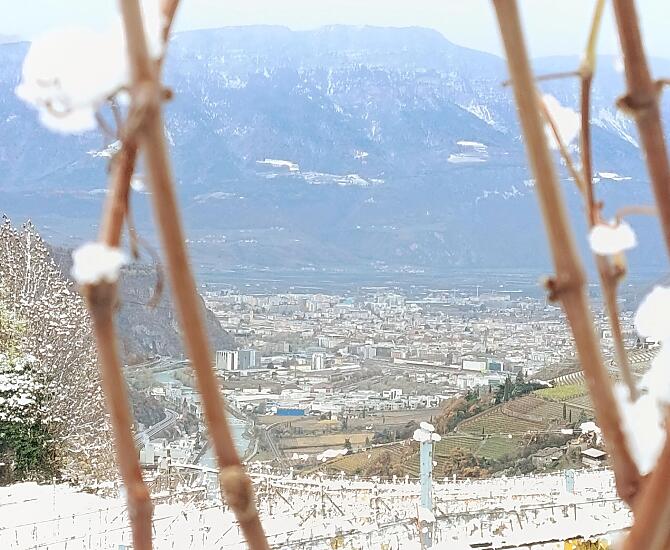 Vista su Bolzano.