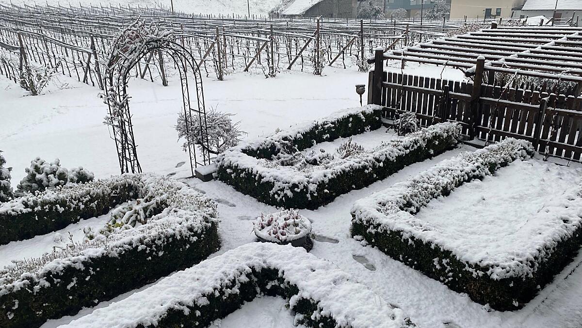 L’orto contadino nel suo candido abito invernale