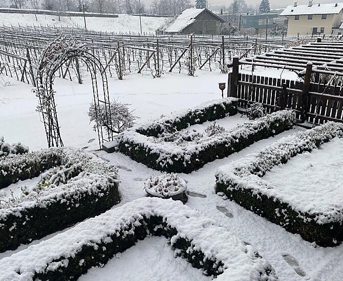 L’orto contadino nel suo candido abito invernale
