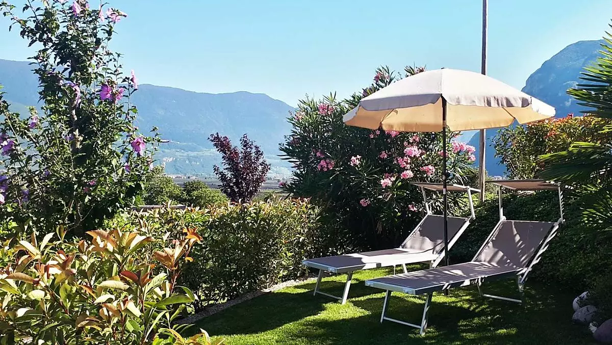 Prato per prendere il sole