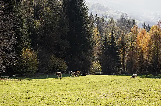 Gfohlerhof - Liste Photo