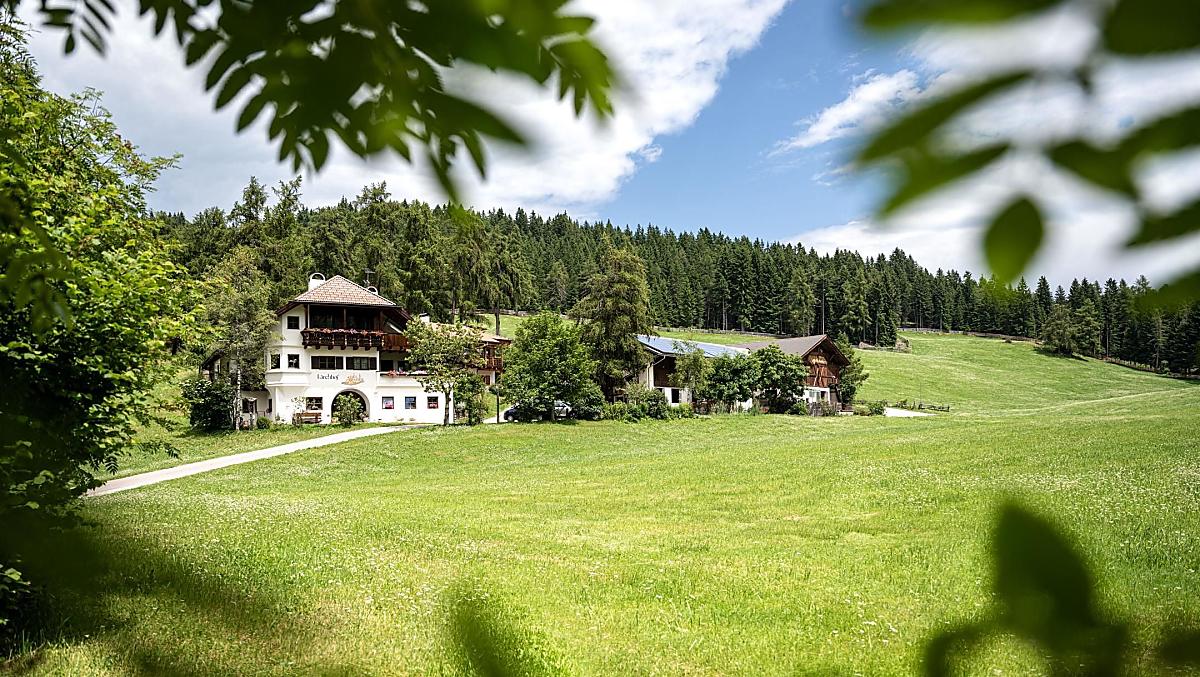 Lärchhof - Bildergalerie Photo