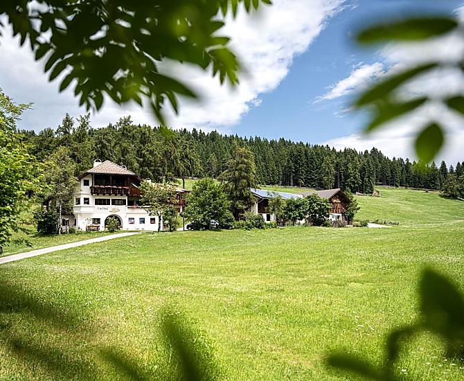 Lärchhof - Bildergalerie Photo