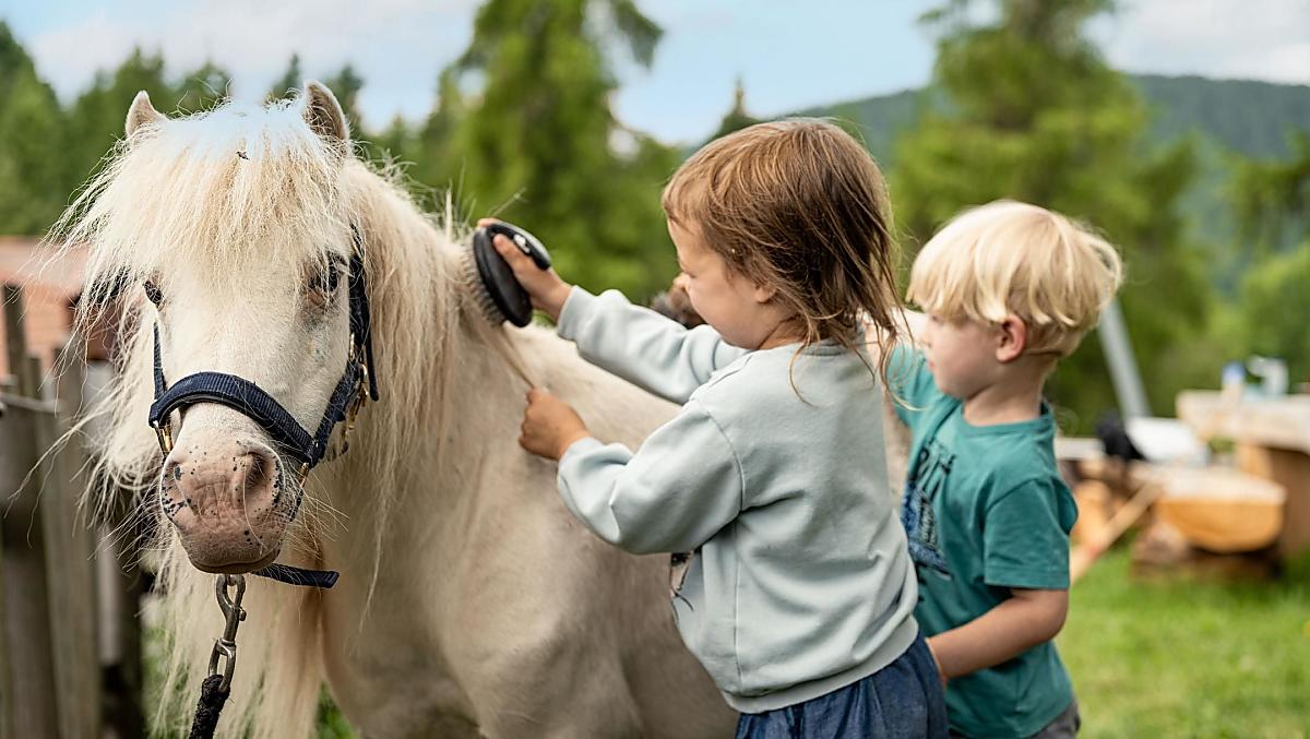Strigliare il pony e fare una cavalcata