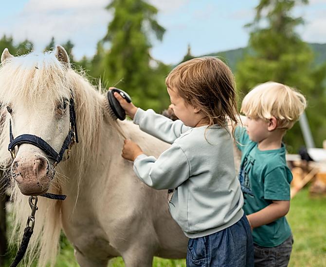 Strigliare il pony e fare una cavalcata