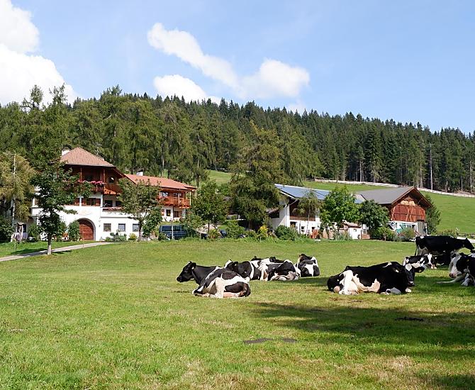 Lärchhof - Bildergalerie Photo