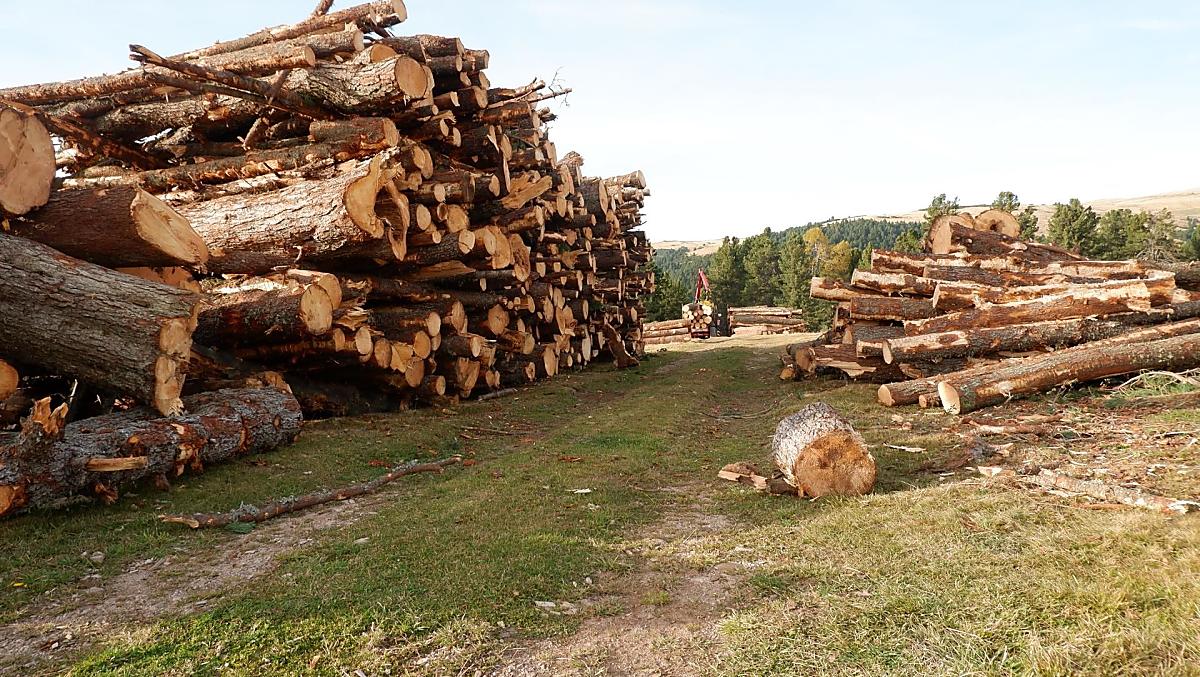 Legna per il riscaldamento a cippato