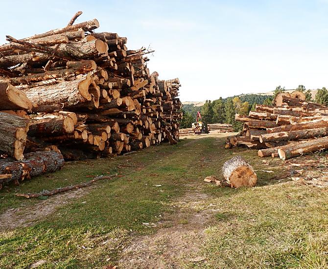 Legna per il riscaldamento a cippato