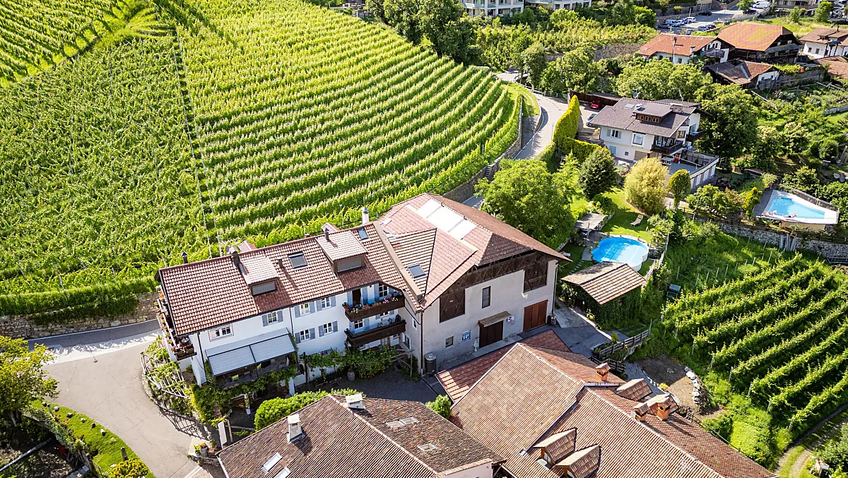 Weingut Pardellerhof - Bildergalerie Photo