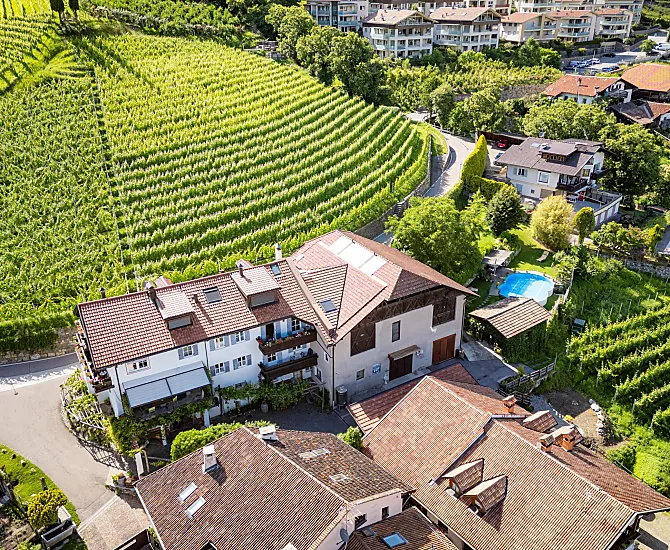 Weingut Pardellerhof - Bildergalerie Photo
