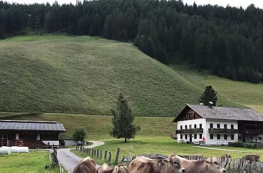Boarhof - Liste Photo