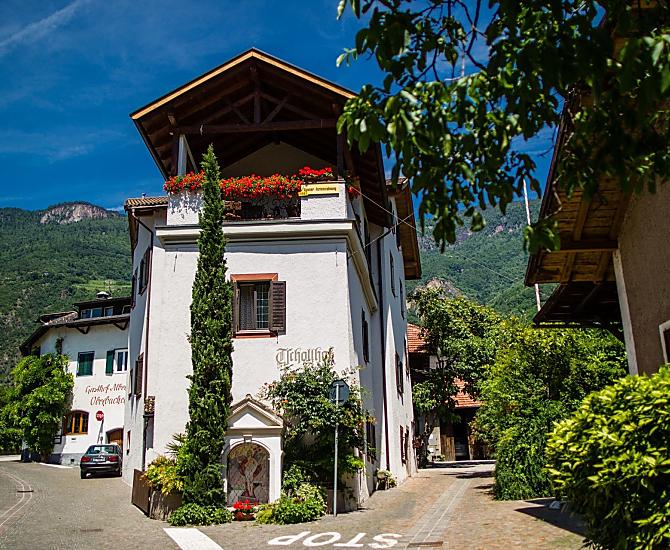 Tschollhof - Bildergalerie Photo