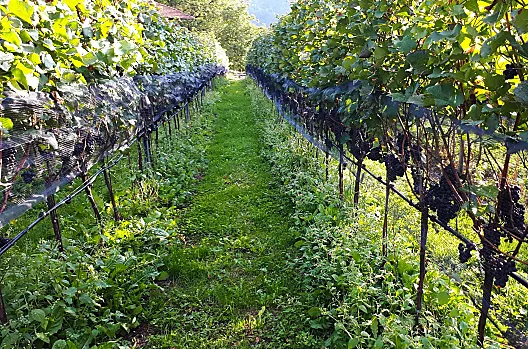 Rienznerhof - Liste Photo
