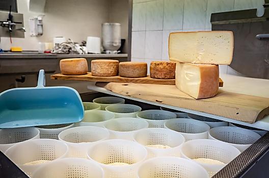 Produzione di formaggio nel caseificio del maso