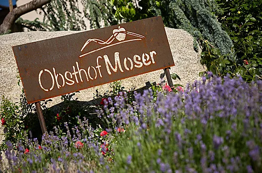 Moser - Liste Photo