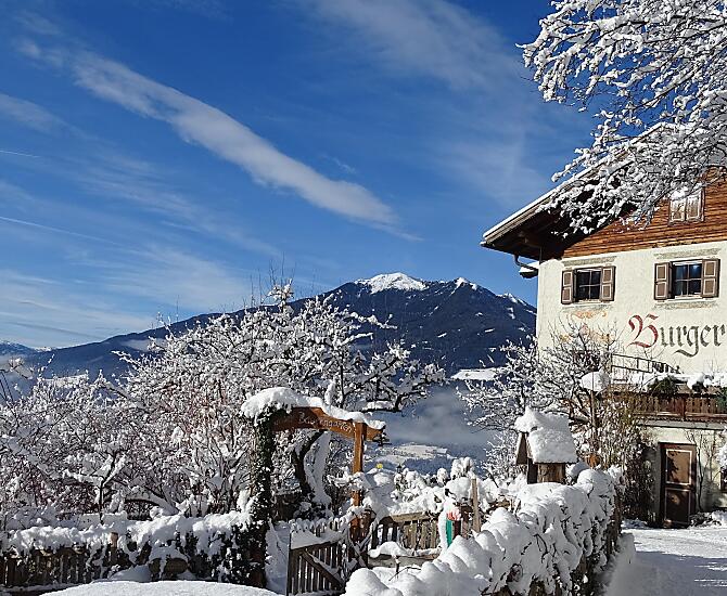 Winter