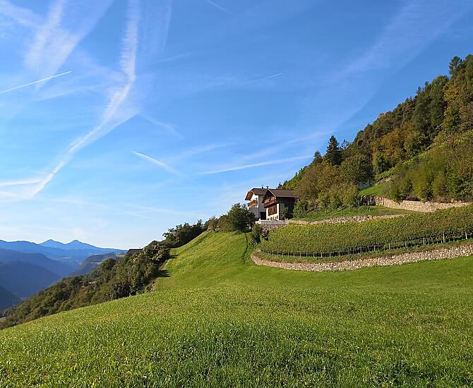Quando le giornate si accorciano e si annunciano le dorate giornate autunnali.