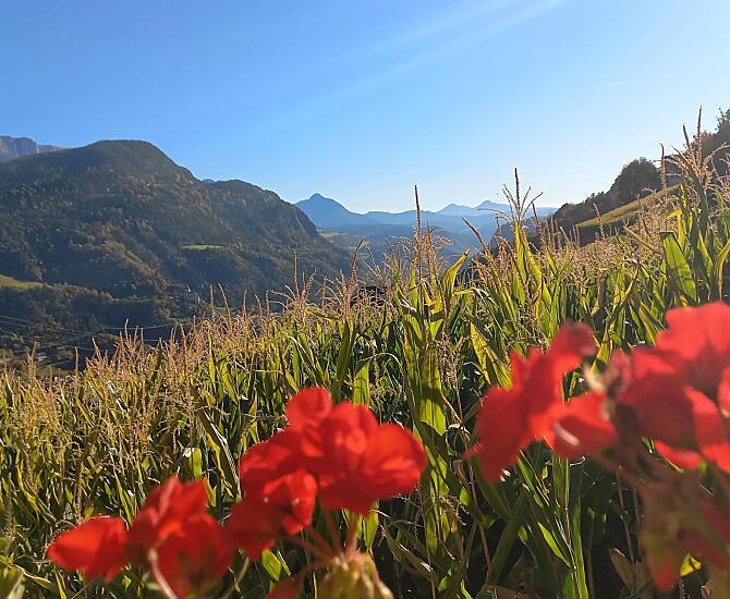 La vista dalla terrazza sullo Sciliar.