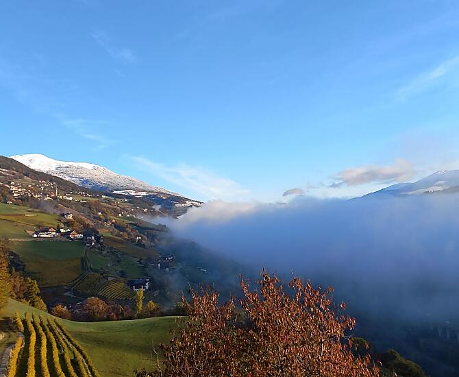 Autunno dorato, cime innevate e paesaggio autunnale variopinto.