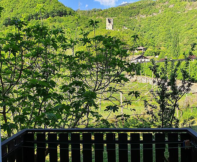 Haus Moargütl - Bildergalerie Photo