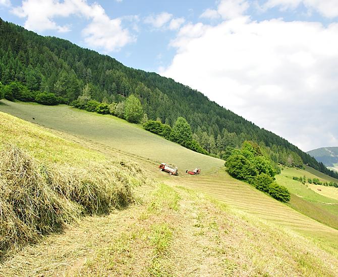 I nostri campi