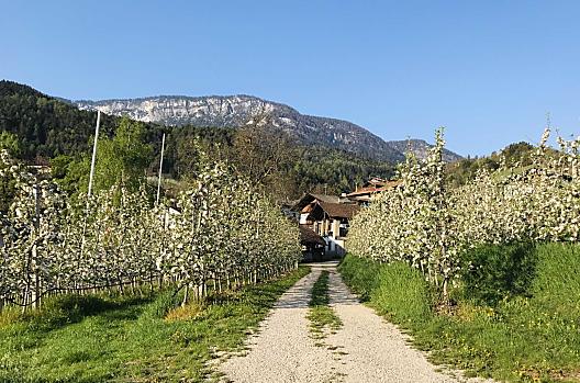 Garberhof - Liste Photo