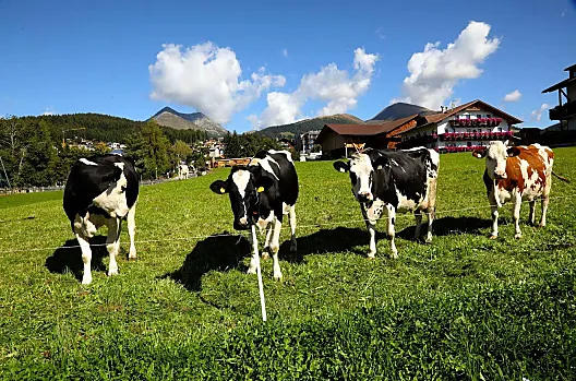 Beigarterhof - Liste Photo