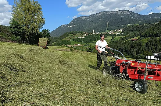 Horst bei der Heuernte