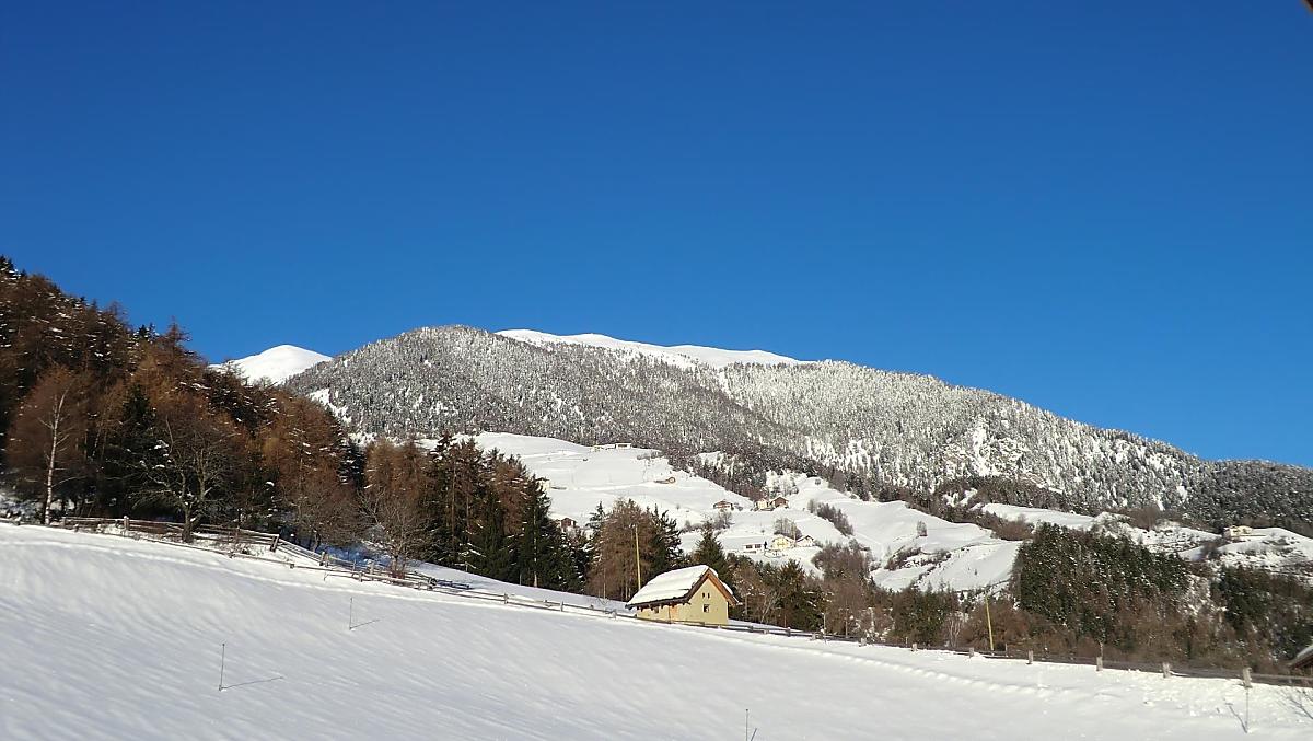 Sulla nostra grande prato, adulti e bambini possono scatenarsi con battaglie di palle di neve, costruendo pupazzi di neve e divertendosi con lo slittino.