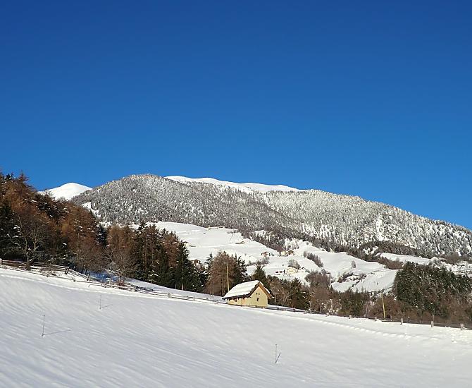 Sulla nostra grande prato, adulti e bambini possono scatenarsi con battaglie di palle di neve, costruendo pupazzi di neve e divertendosi con lo slittino.