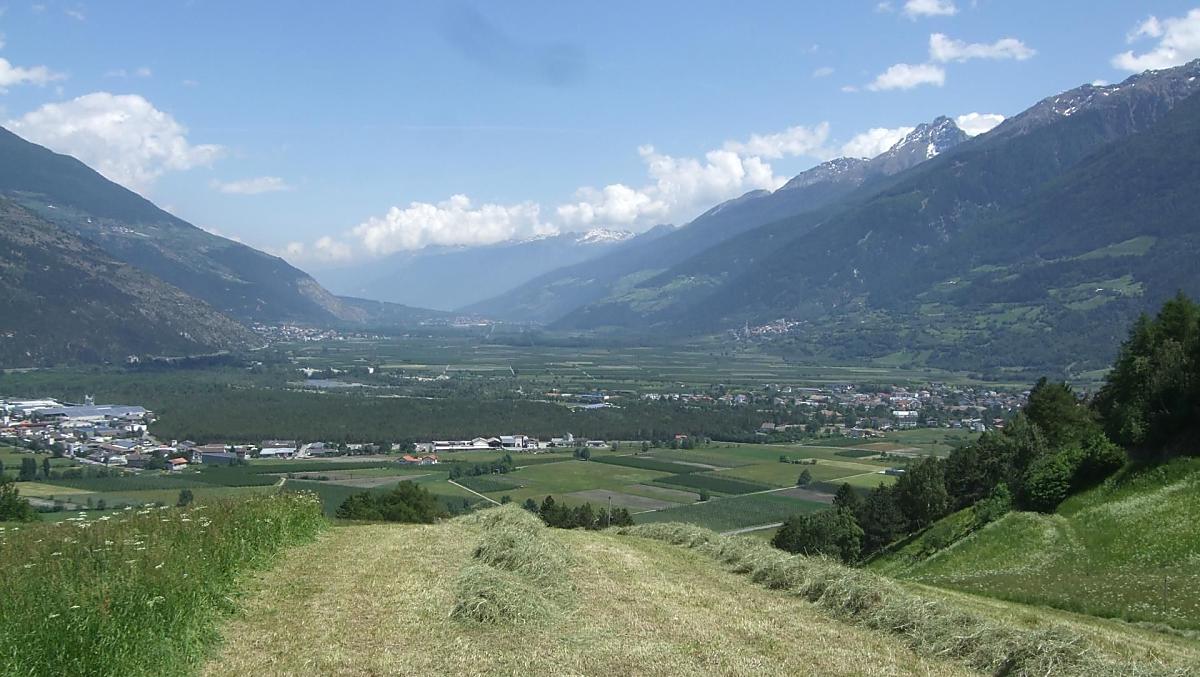 Siete i benvenuti ad aiutarci nella raccolta del fieno sui nostri prati, godendo al contempo della magnifica vista sulla splendida Val Venosta.