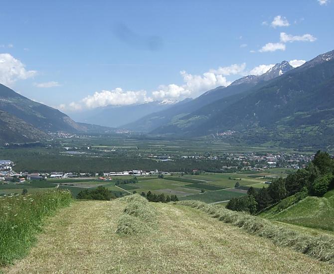 Siete i benvenuti ad aiutarci nella raccolta del fieno sui nostri prati, godendo al contempo della magnifica vista sulla splendida Val Venosta.