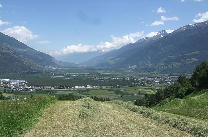 Siete i benvenuti ad aiutarci nella raccolta del fieno sui nostri prati, godendo al contempo della magnifica vista sulla splendida Val Venosta.