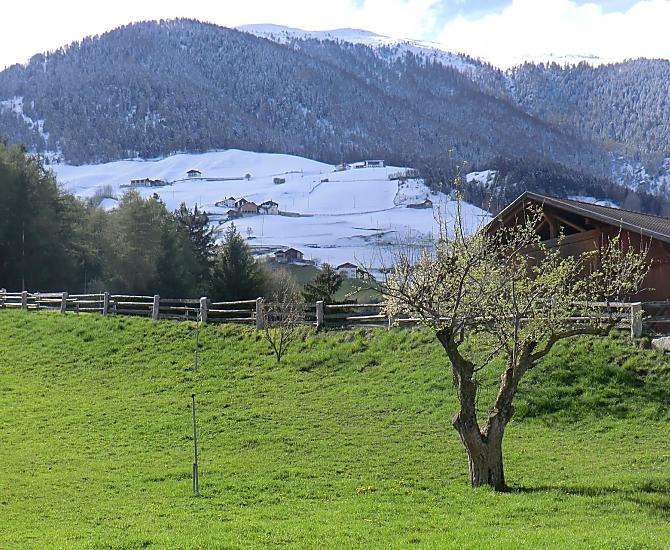 Intorno al maso è già arrivata la primavera, mentre più in alto i masi di montagna sono ancora coperte di neve.