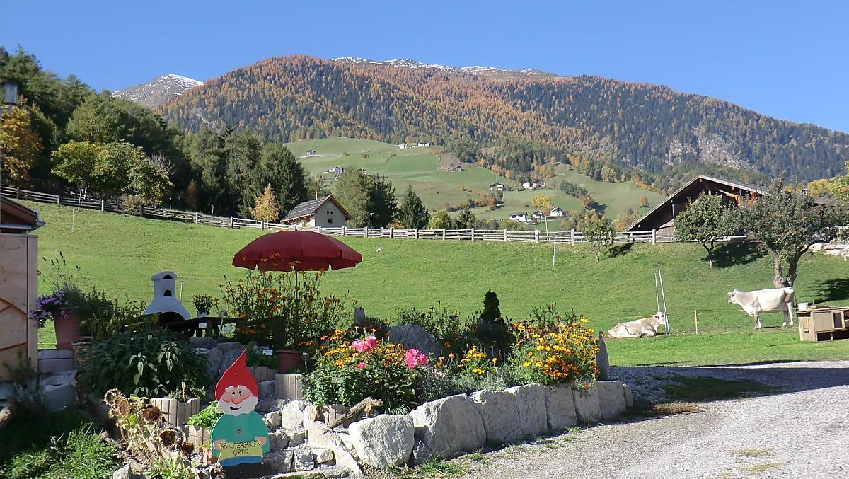 Giardino di erbe aromatiche e area per prendere il sole. Mentre ti rilassi, puoi osservare le mucche, goderti la vista e respirare l'aria pura vicino al bosco.