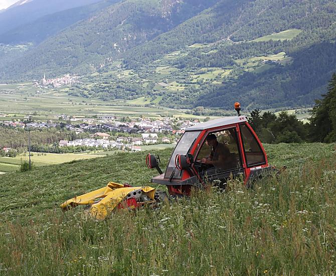Anton, il contadino, durante la falciatura dei suoi campi