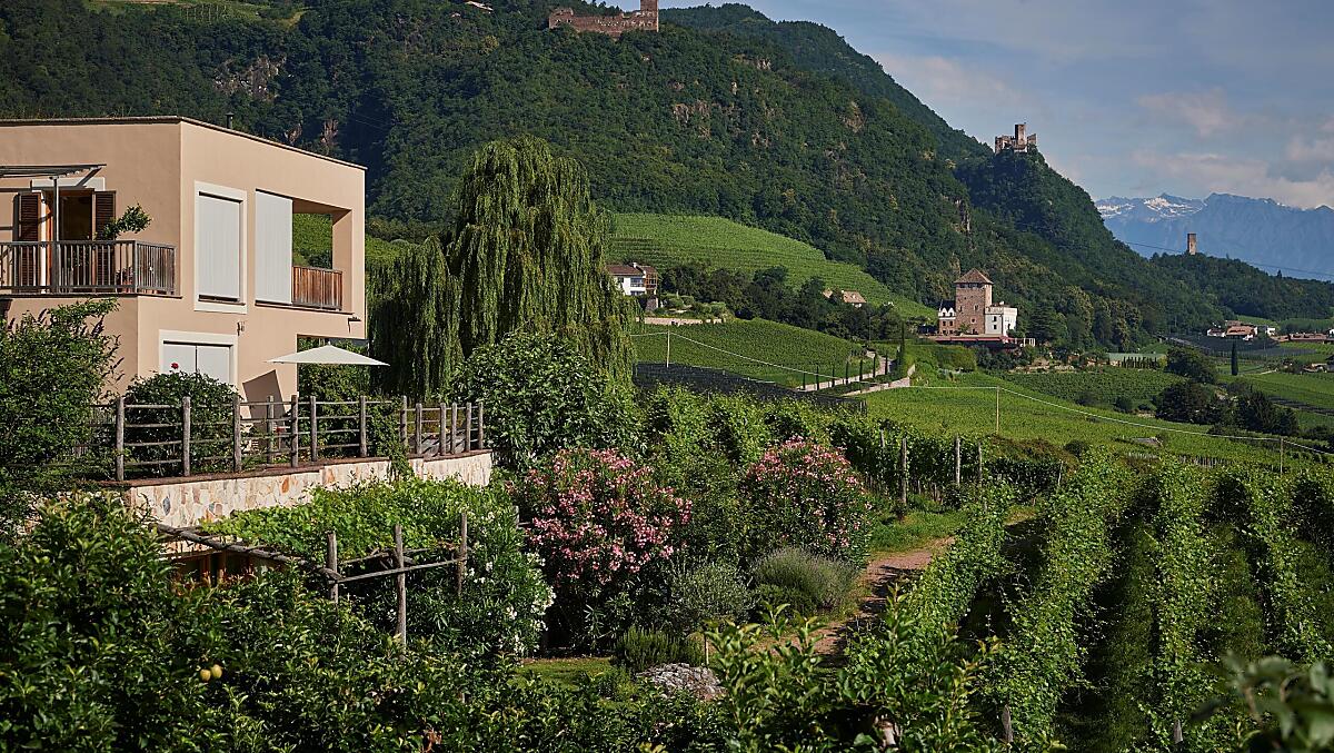 Weingut Stuck - Das Gute leben