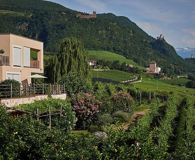 Weingut Stuck - Das Gute leben