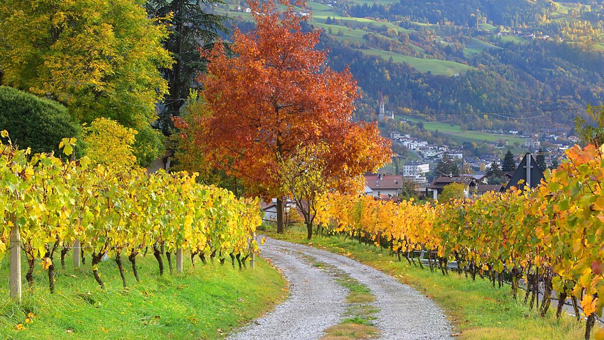 Herbststimmung