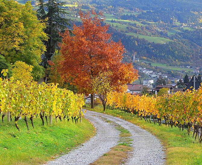 Herbststimmung
