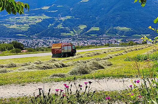 Niederhof - Liste Photo