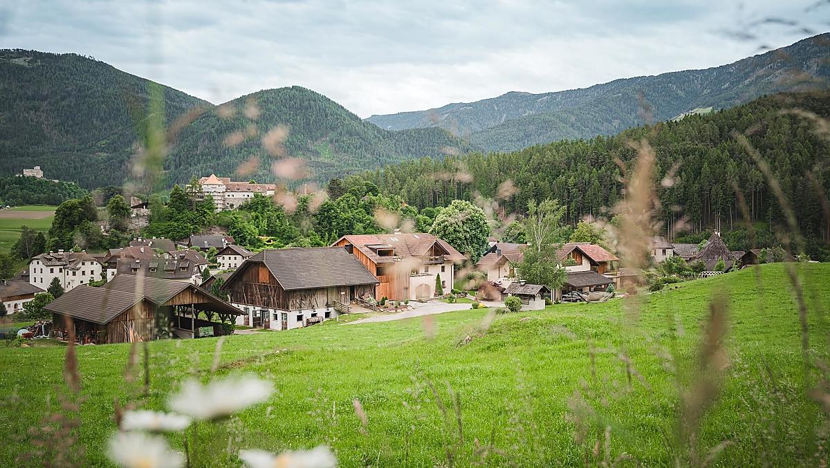 Oberbinder - Bildergalerie Photo